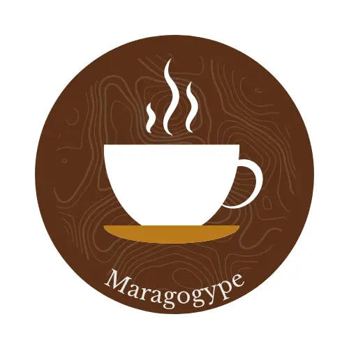 Maragogype