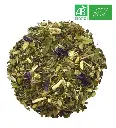 Detox citron bio