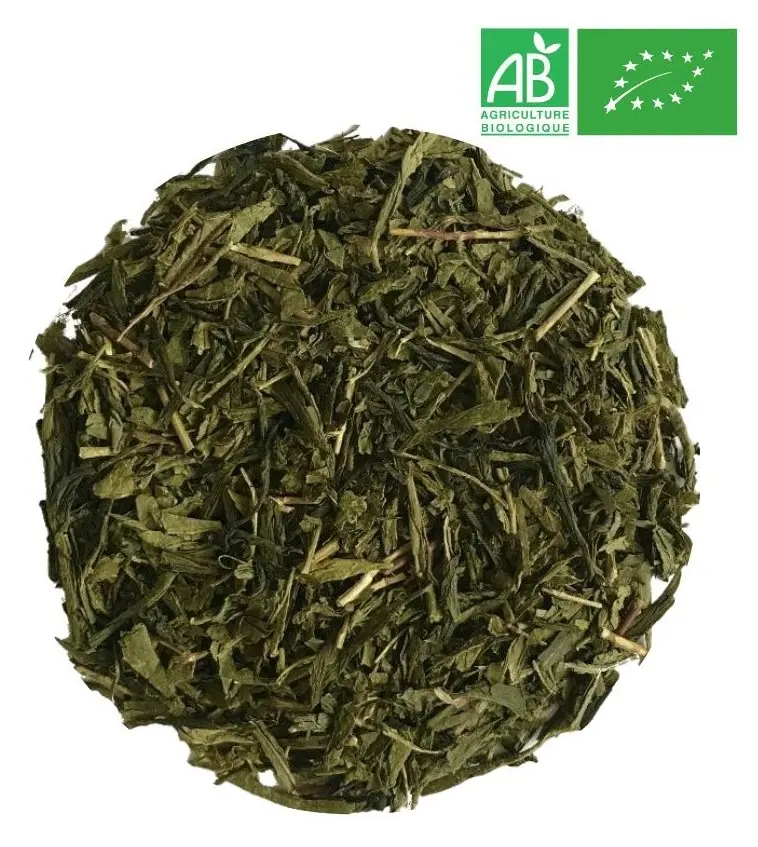Thé vert sencha bio